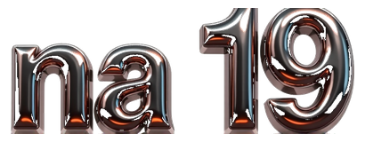 na 19 logo
